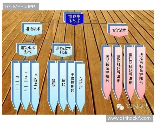 南京排球队进攻策略深度解析与战术创新探讨