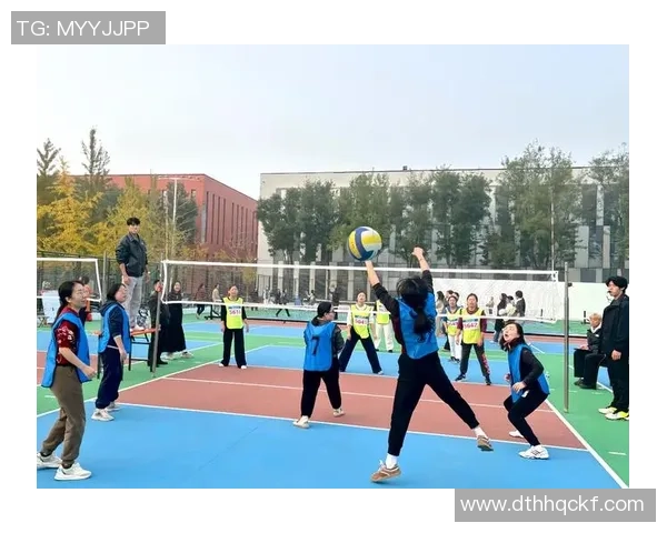 南京排球队个人能力排名创新高展现新风貌与实力提升