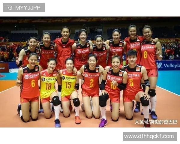 南京排球队灵活性排名第一最新排球灵活性TOP10榜单揭晓